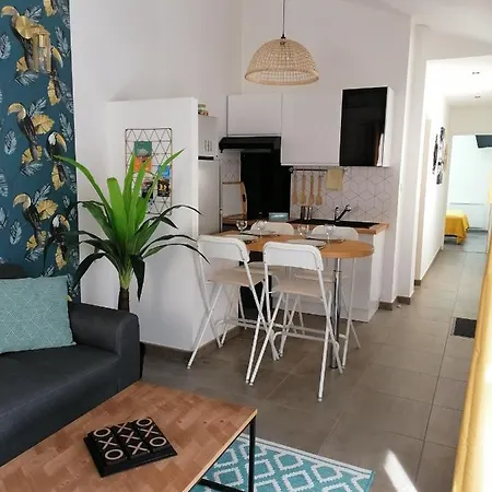 Les Toucans Sous Le Clocher. Appartement, Terrasse Et Spa. Apartment *